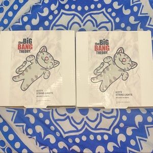 The Big Bang Theory Soft Kitty string lights